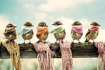 Schattige vogels met kleurrijke sjaals van Art & Soul Creations