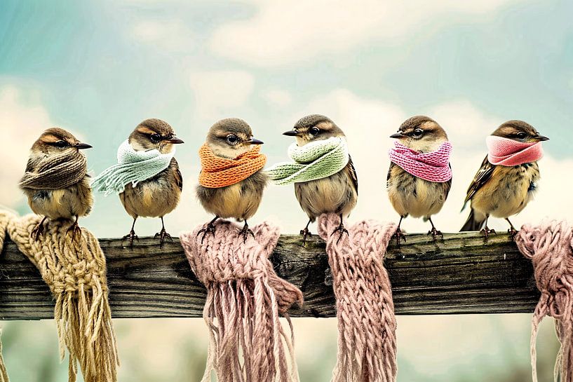 Cute birds with colourful scarves by Art & Soul Creations