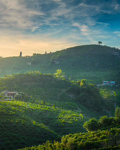 Die Weinberge der Prosecco-Hügel bei Sonnenuntergang in Valdobbiadene