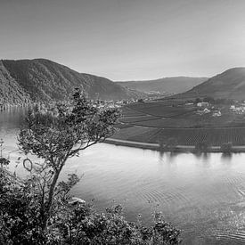 Beilstein Moselschleife in zwart-wit van Manfred Voss, Zwart-Wit Fotografie