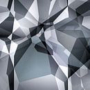Polygons I by Andreas Wemmje thumbnail
