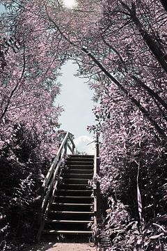 Un escalier vers le ciel