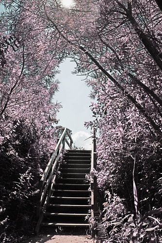 A stairway to heaven
