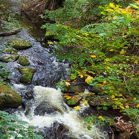 Bodetal, Thale, Harz, Sachsen-Anhalt, Deutschland von Torsten Krüger