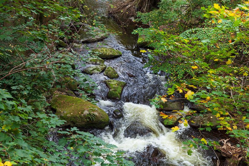 Bodetal, Thale, Harz, Saxony-Anhalt, Germany by Torsten Krüger