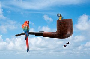 "Ceci n'est pas une pipe", sagte Magritte