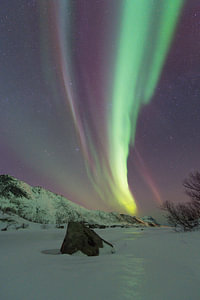 Nordlicht über einem zugefrorenen See in einer verschneiten Winterlandschaft auf den Lofoten