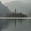 Eiland in het meer van Bled in Slovenië van Michael Valjak