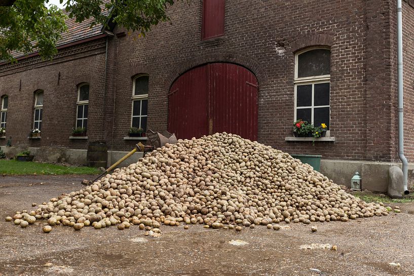 un gros tas de pommes de terre par ChrisWillemsen