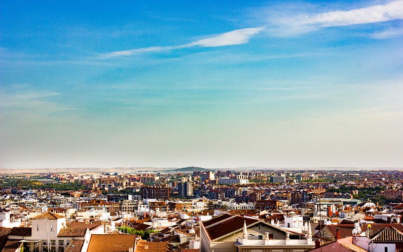 View of the city of Madrid. by Nature Urban Art Walls