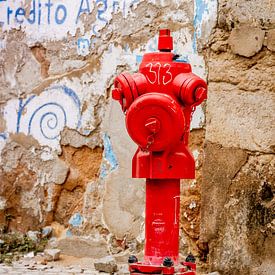 The Red Fire Hydrant van Urban Photo Lab