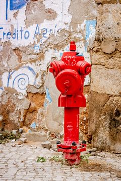 The Red Fire Hydrant von Urban Photo Lab