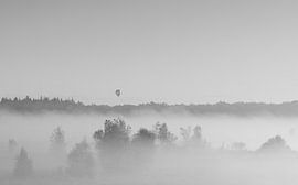 Lever de soleil brumeux Duurswouderheide (Pays-Bas)