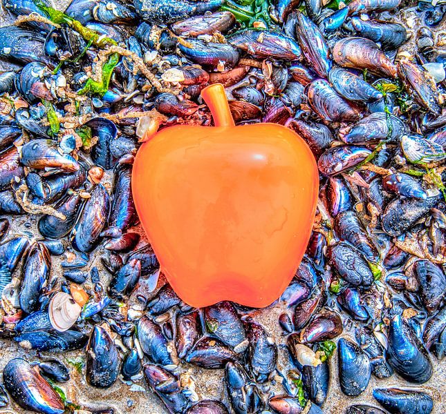 Apple on the Beach - Mossel van Alex Hiemstra