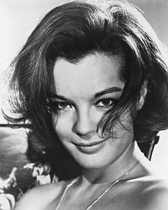 Romy Schneider von Brian Morgan