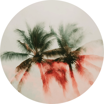 Kleurrijke palmbomen