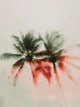 Colourful palm trees