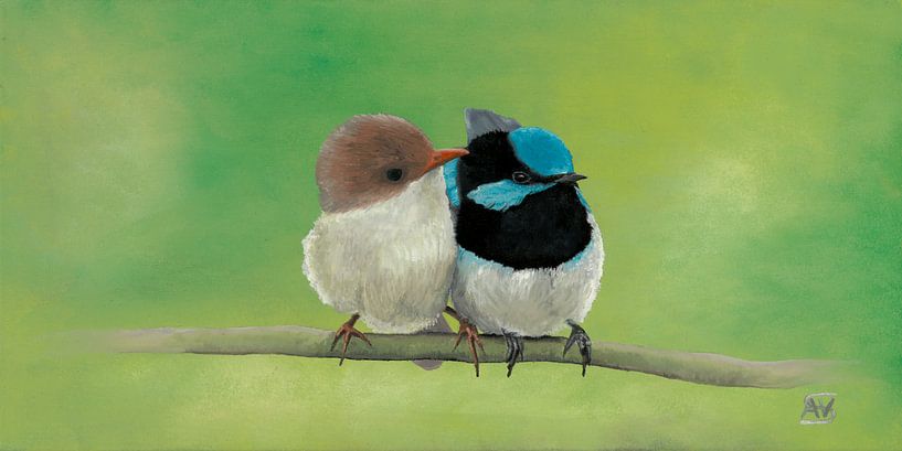 Australian Wren by ArtCatcher.nl