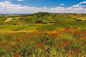 Frühling in der Toskana, Italien