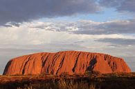 Uluru Australië van Inge Hogenbijl thumbnail