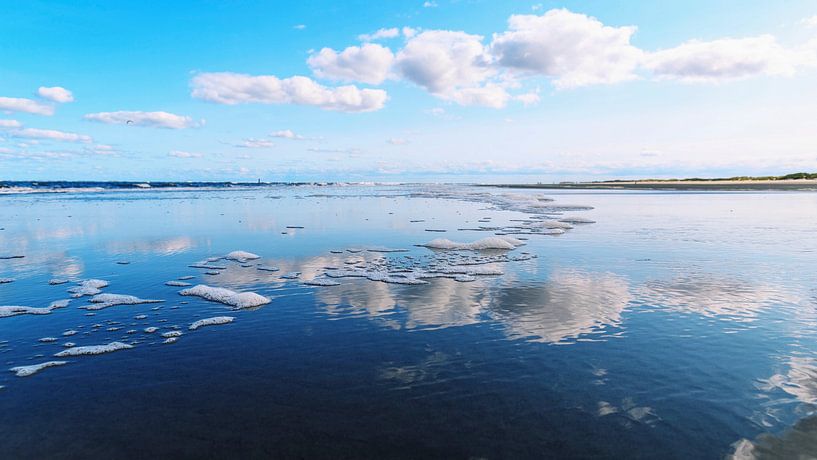 Magical reflections by Dan Photo Shaman