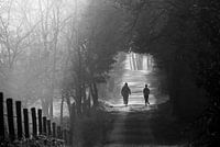 Joggeurs sur un chemin forestier dans le brouillard