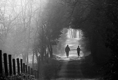 Jogger auf einem Waldweg im Nebel