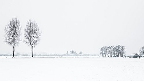 Winter Dutch landscape