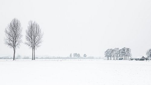 Winters Nederlands landschap
