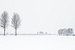 Winter holländische Landschaft von Hilda Weges