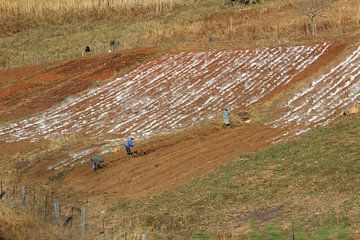 Platteland, Swaziland