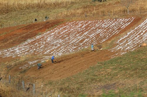 Platteland, Swaziland
