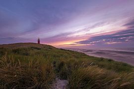 Dunes de Texel le matin sur Andy Luberti