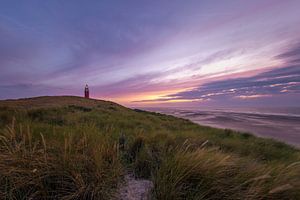 Texelse duinen in de ochtend