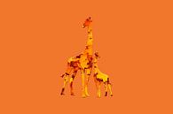 Girafolios von Catherine Fortin Miniaturansicht