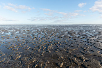 Ebbe im Wattenmeer im Sonnenlicht