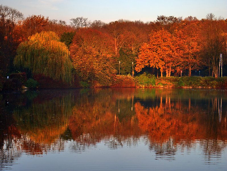 L'automne au bord du lac par Edgar Schermaul
