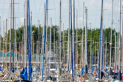 Zeilmasten in de haven