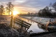 Winterliche Morgensonne entlang der Abeek in Bree von Peschen Photography Miniaturansicht