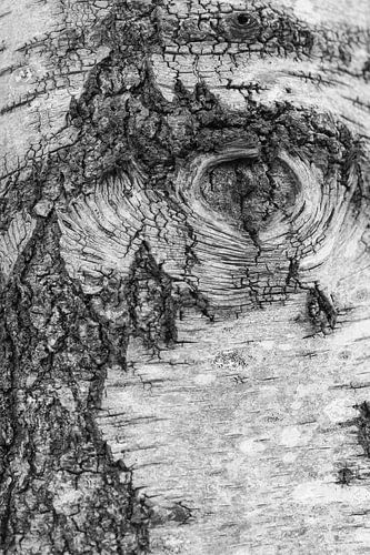 The eye of... what do you see?