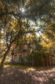 Der verlorene Geist von Colonia