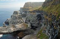 Klippen der Insel Rathlin in Nordirland von Babetts Bildergalerie Miniaturansicht