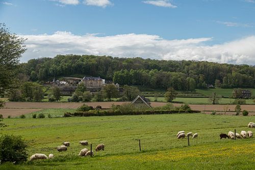Voorjaarssfeer rond de landerijen bij Kasteel Neercanne, Maastricht.