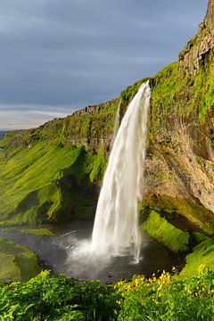 Seljalandsfoss von Sven-Erik Arndt