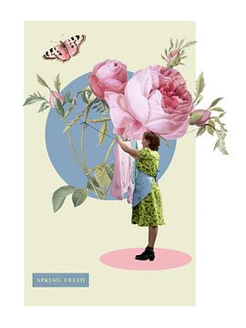 Spring Fresh Laundry van Marja van den Hurk