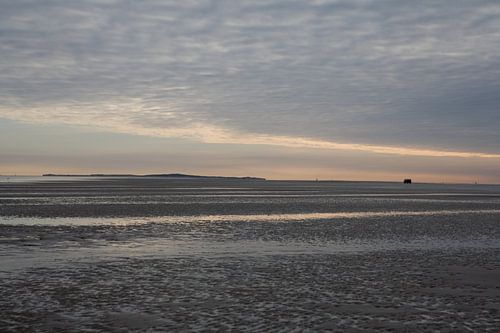 Crépuscule sur les vasières