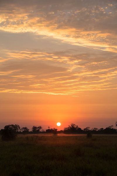 Sunrise in Madidi national park von Lucas De Jong