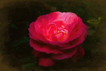 Rode roos in olieverf van W J Kok