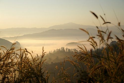 Prachtige zonsopkomst in Thailand