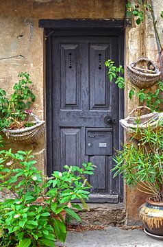 Old medieval village front door with plants